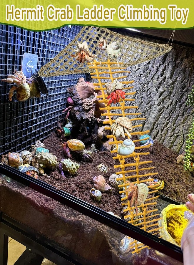 Delllala Hermit Crab Ladder Climbing Toy|Hermit Crab Decoration Tank Accessories，Reptile Habitat Decor with Climbing Hammock Toys for Leopard Gecko，Lizards, Tarantulas - Image 5